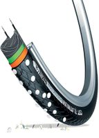Cst Eb1003c platinum bub 28x1.50 Cst Eb1003c platinum bub 28x1.50