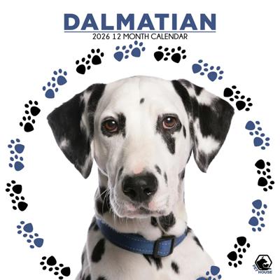Dalmatier Kalender 2026 Dalmatier Kalender 2026