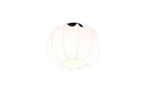 Trio Witte design plafondlampMadleine Ø 25cm - R61971001
