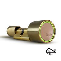 Bold Smart Lock - sleutelloos slim slot met app-bediening en pincodefunctie messing