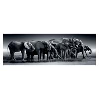 Clementoni legpuzzel panorama herd of giants, 1000st.