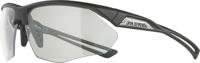 Alpina Nylos HR - Sports Glasses