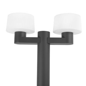 Lantaarnpaal met 2 Muffin lampen aluminium 74435-74429 ESR
