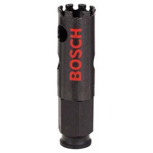 Bosch Accessories Bosch 2608580302 Gatenzaag 20 mm Diamant uitgerust 1 stuk(s)