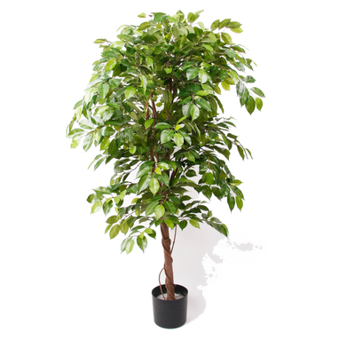 Wants&Needs Plants Kunstplant Ficus Deluxe Wants&Needs Plants Kunstplant Ficus Deluxe
