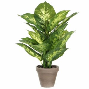 Groene Dieffenbachia kunstplanten 40 cm in pot