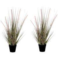 Mica Decorations Kunstplant Dogtail siergras - 2x - 54 cm - in zwarte pot