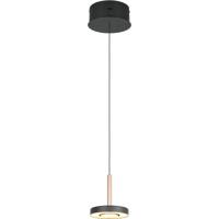 LED Hanglamp - Trio Select Guano - 1 Lichtpunt van 8 Watt - Dimbaar - Aanpasbare Lichtkleur - Hoogte Aanpasbaar zonder Contragewicht - Draaibaar - Coffee - Metaal