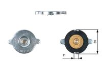 Radiateurdop RC117