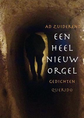 Een heel nieuw orgel - Ad Zuiderent - ebook