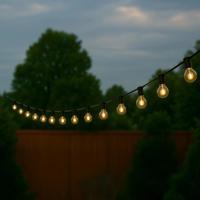 Solar lichtslinger chain met 25 led filament lampen