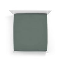 Bella Donna Bella Donna Hoeslaken Jersey Lits-jumeaux XL vintage groen - 0634 200/220-200/240