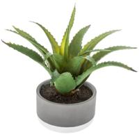 Atmosphera vetplant kunstplant - in pot van cement - H22 cm - Nepplanten - pot van 11 x 7 cm