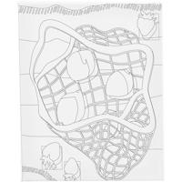 Creativ Company Schildercanvas met print, citrusvruchten , d: 1,6 cm, afm 24x30 cm, 360 gr, 1 stuk