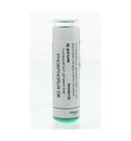 Phosphorus D6
