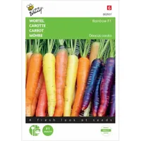 Wortel Rainbow F1