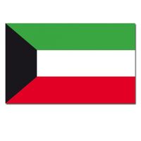 Landen thema vlag Koeweit 90 x 150 cm feestversiering