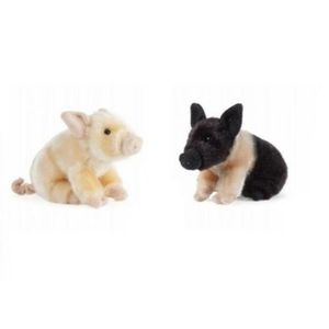 Set van 2x pluche varkens knuffels 20 cm