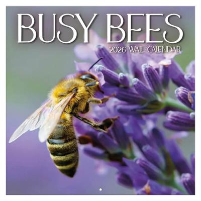 Busy Bees Kalender 2026
