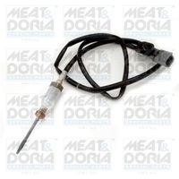 Sensor, uitlaatgastemperatuur 12072