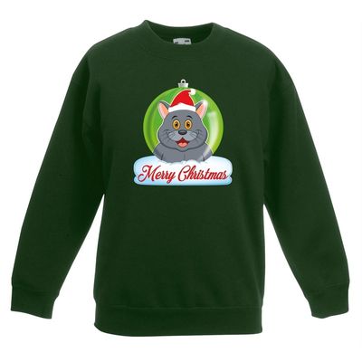 Kersttrui Merry Christmas grijze kat / poes kerstbal groen kinde