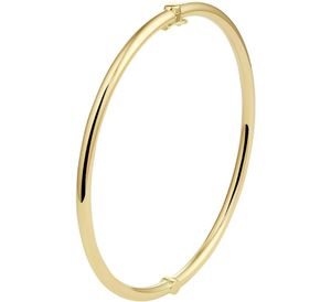 Armband Zilgold Bangle geelgoud met zilveren kern ronde buis 3 mm