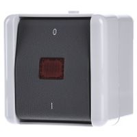 802 KOW  - 2-pole switch surface mounted grey 802 KOW