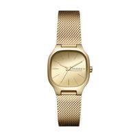 Horlogeband Skagen SKW3164 Mesh/Milanees Doublé 10mm