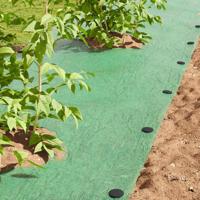 VidaXL Grondpennen 100 pcs zwart ø3 x 11 cm kunststof