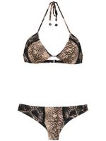 Amir Slama lace bikini - Noir - thumbnail