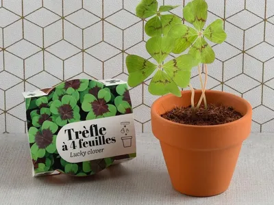 Klavertje Vier Klavertje Vier