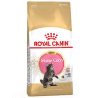 Royal Canin Maine Coon voer voor kitten 10kg - thumbnail