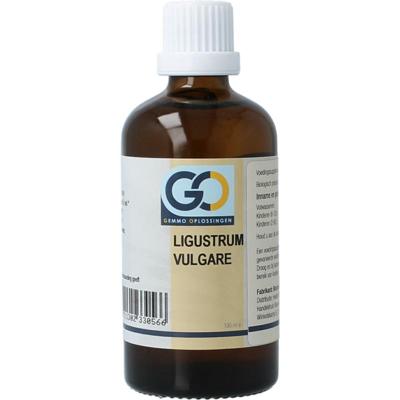 GO GO ligustrum vulgare bio