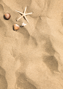 Natuur vinyl vloerkleed Summer vibe vinyl vloerkleed zand