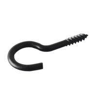 Homefix Schroefhaak Zwart 100Mm | 2 stuks - 6701.31.11040 Homefix Schroefhaak Zwart 100Mm | 2 stuks - 6701.31.11040