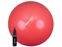 Avento Fitness Ball Ø 65 + Pomp