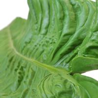 Alocasia kunstbladtak XL
