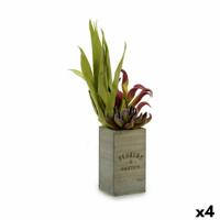 Decoratieve plant Flowers Garden Bruin Groen 10 x 50 x 10 cm (4 Stuks)