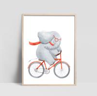 Poster - Olifant berijdt fiets