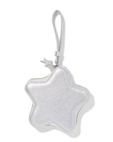 HEMA Etui 15.5x3x15cm ster (zilver)