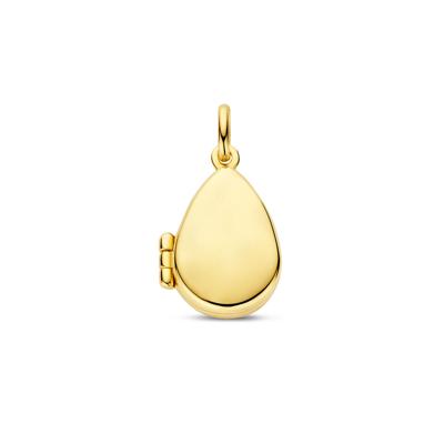 14k Geelgouden Medaillon in Druppelvorm - Elegante Herinneringen en Tijdloze Schoonheid