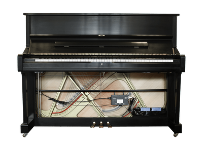 Piano Life Saver System 5PS dampp chaser / luchtbevochtiger