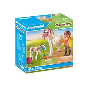 PlaymobilÂ® Country 71243 paard met veulen