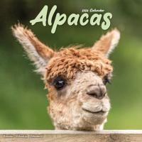 Alpaca Kalender 2026