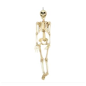 Horror/halloween decoratie skelet/geraamte pop - hangend - 90 cm