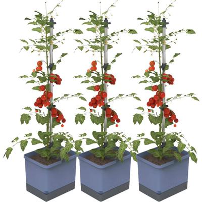Gusta Garden TOM TOMATO 3er-Set blau / W07075 Plantcontainer