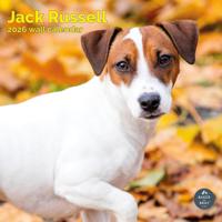 Jack Russell Terrier Kalender 2026 Jack Russell Terrier Kalender 2026