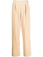 Rejina Pyo pantalon de tailleur Reine à plis creux - Marron