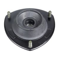 Veerpootvoering 31675