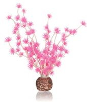 BiOrb Bonsai roze - thumbnail
